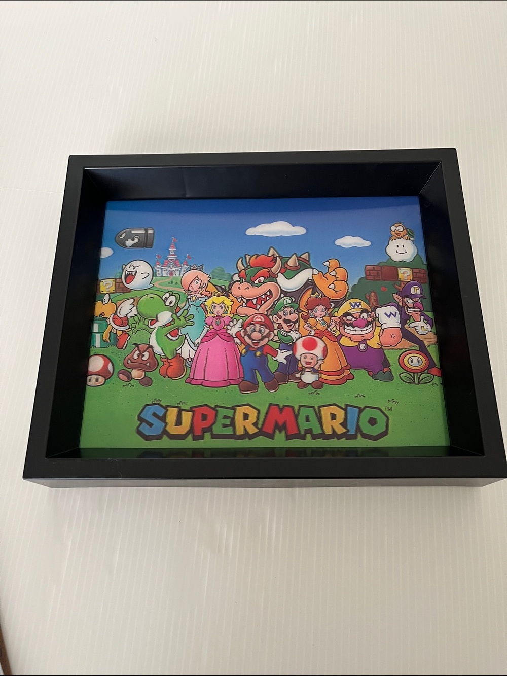 Super Mario 3D Frame 11”x 9”
